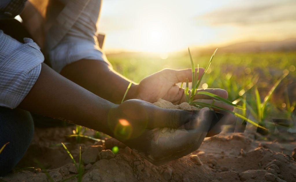 Sustainable Agriculture